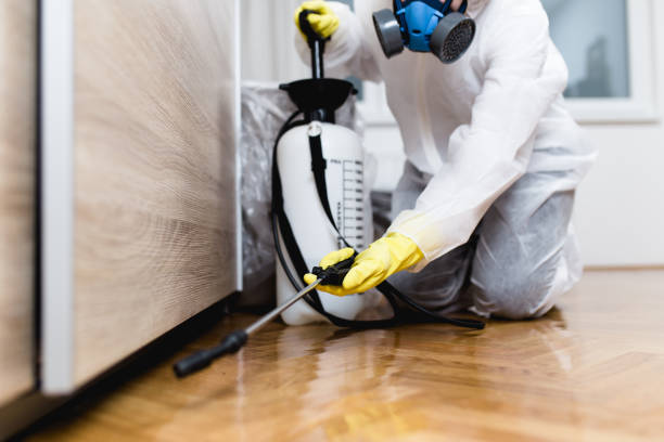 Best Pest Removal Services  in Lyndon, KY