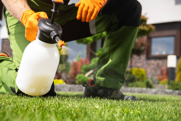 Best Flea Control Services  in Lyndon, KY