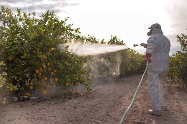 Best Pest Control Near Me in Lyndon, KY