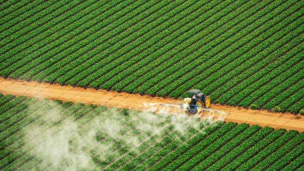 Pest Prevention Services in Lyndon, KY