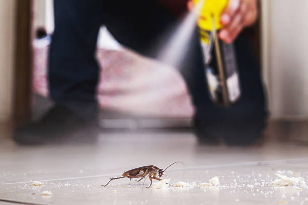 Best Pest Prevention Services  in Lyndon, KY