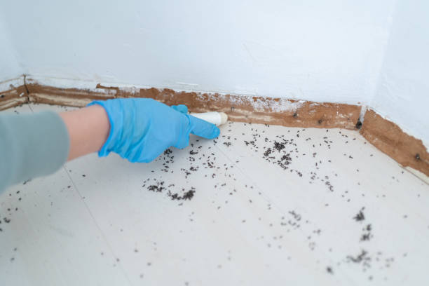 Best Commercial Pest Control Services  in Lyndon, KY